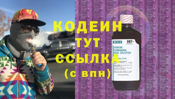 стаф Киренск