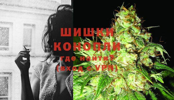 стаф Киренск