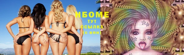 стаф Киренск