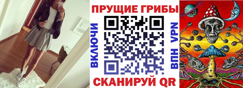 Галлюциногенные грибы мицелий Серафимович