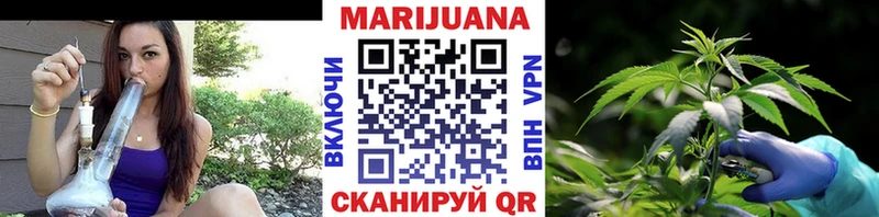 Каннабис сатива  Купить где  Серафимович 